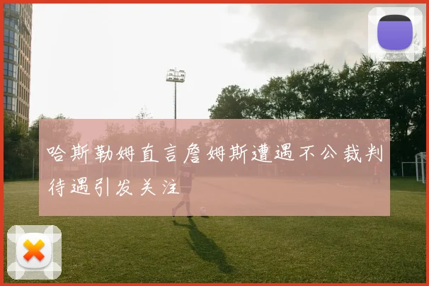 哈斯勒姆直言詹姆斯遭遇不公裁判待遇引发关注