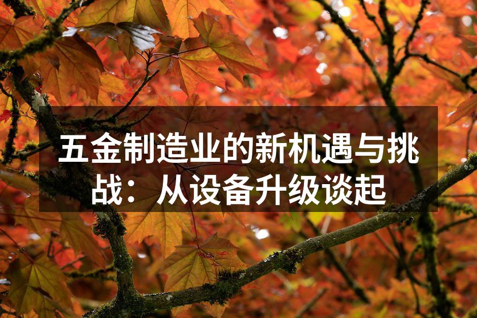 五金制造业的新机遇与挑战：从设备升级谈起